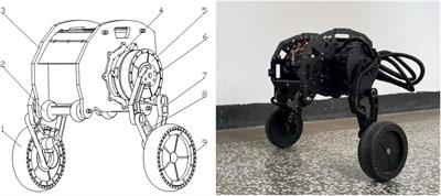 Design and dynamic analysis of jumping wheel-legged robot in complex terrain environment